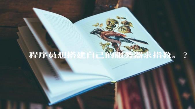 程序员想搭建自己的服务器求指教。?