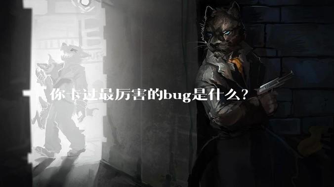 你卡过最厉害的bug是什么？