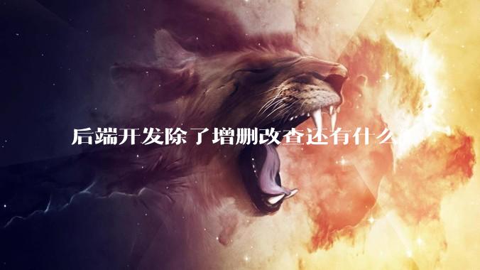 后端开发除了增删改查还有什么？