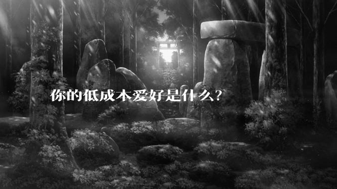 你的低成本爱好是什么？