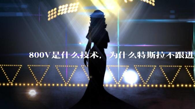 800V是什么技术，为什么特斯拉不跟进？