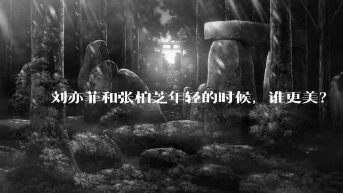 刘亦菲和张柏芝年轻的时候，谁更美？