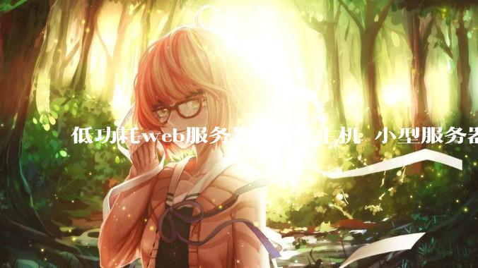 低功耗web服务器 迷你主机 小型服务器 求推荐？