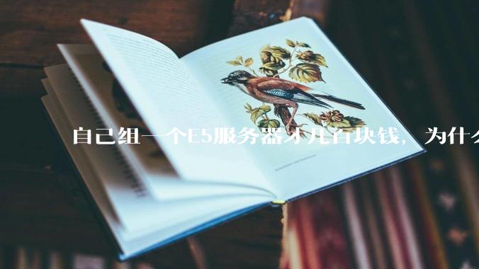 自己组一个E5服务器才几百块钱，为什么去阿里云租这么贵?