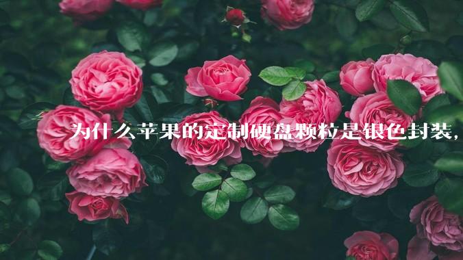 为什么苹果的定制硬盘颗粒是银色封装，而无论是nvme ssd，笔记本板载还是手机硬盘都是黑色封装?