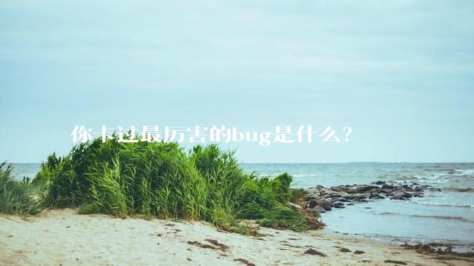 你卡过最厉害的bug是什么？