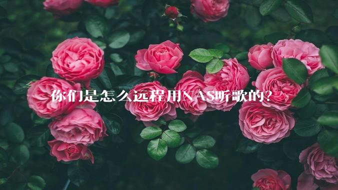 你们是怎么远程用NAS听歌的？
