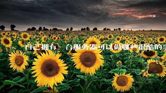 自己拥有一台服务器可以做哪些很酷的事情？