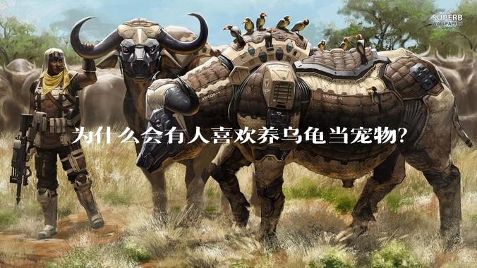为什么会有人喜欢养乌龟当宠物？