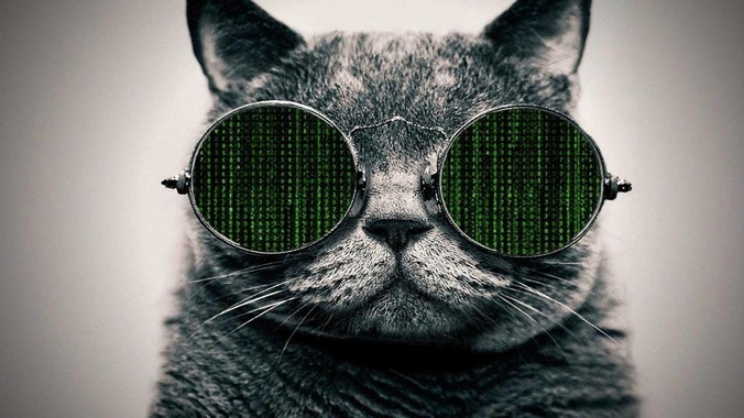 世界上存在动漫少女般完美的「身体」吗？